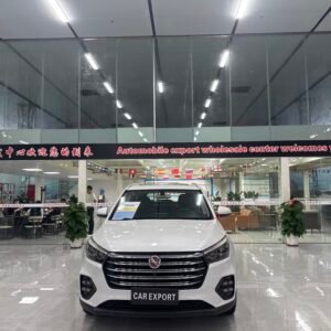 Hanteng X5 1.5T 2019 Used 5-Seater Compact SUV (White)